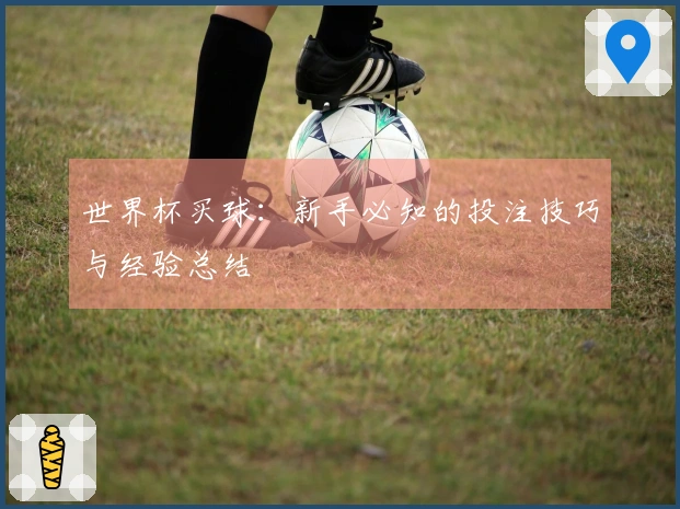 世界杯买球：新手必知的投注技巧与经验总结