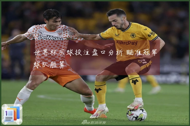 世界杯买球投注盘口分析 瞄准冠军球队胜算