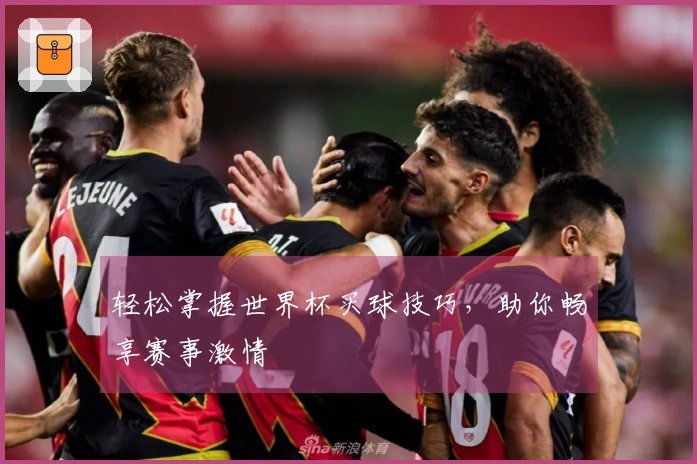 轻松掌握世界杯买球技巧，助你畅享赛事激情