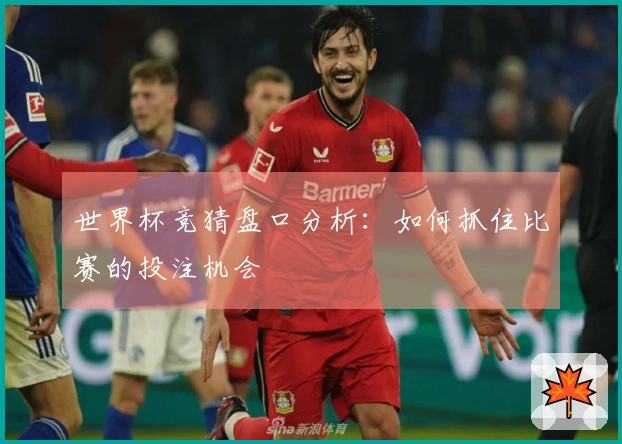 世界杯竞猜盘口分析：如何抓住比赛的投注机会