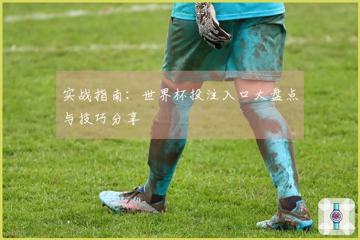 实战指南：世界杯投注入口大盘点与技巧分享