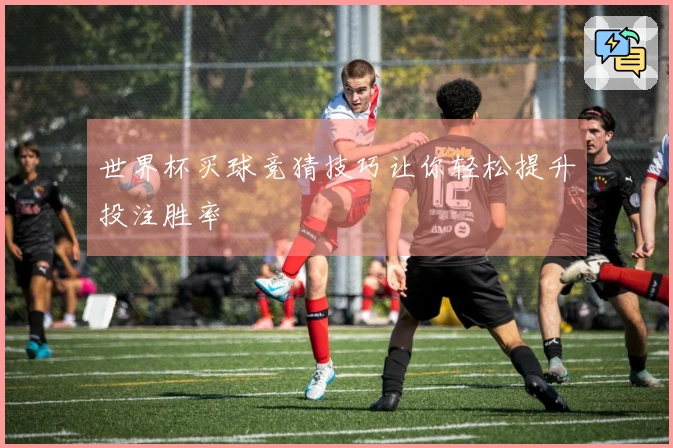 世界杯买球竞猜技巧让你轻松提升投注胜率