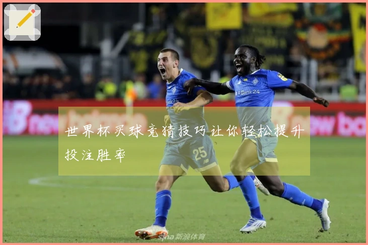 世界杯买球竞猜技巧让你轻松提升投注胜率