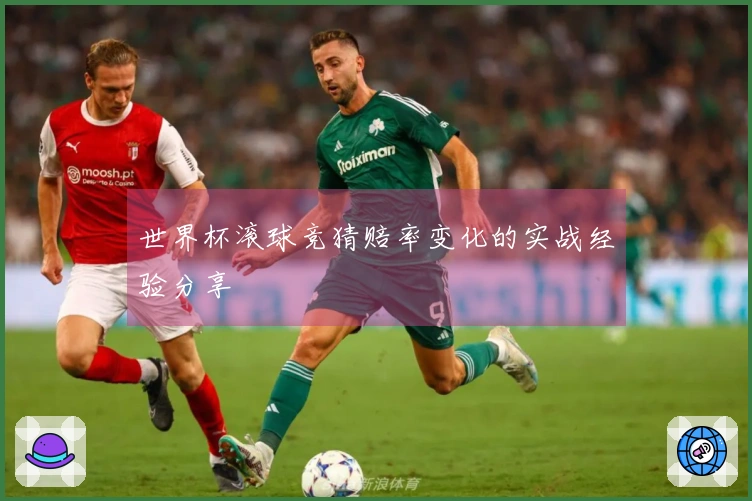 世界杯滚球竞猜赔率变化的实战经验分享