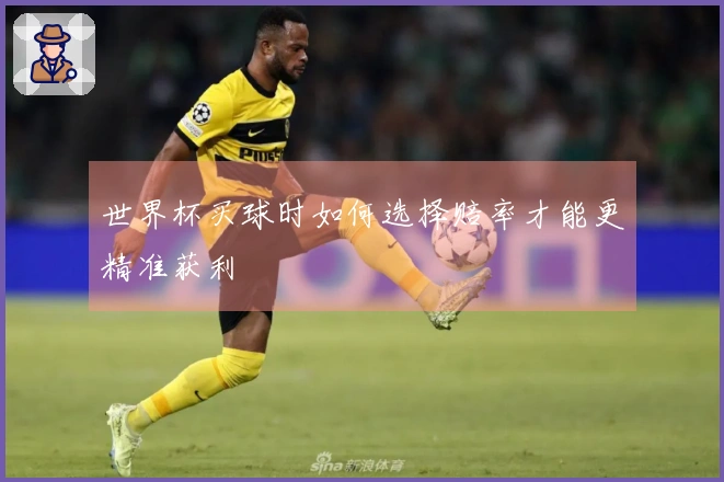 世界杯买球时如何选择赔率才能更精准获利