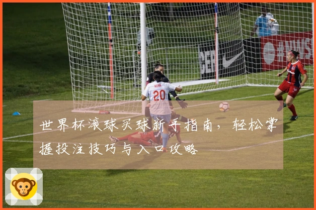 世界杯滚球买球新手指南，轻松掌握投注技巧与入口攻略