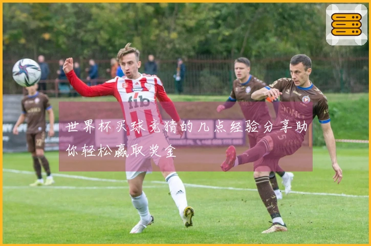 世界杯买球竞猜的几点经验分享助你轻松赢取奖金