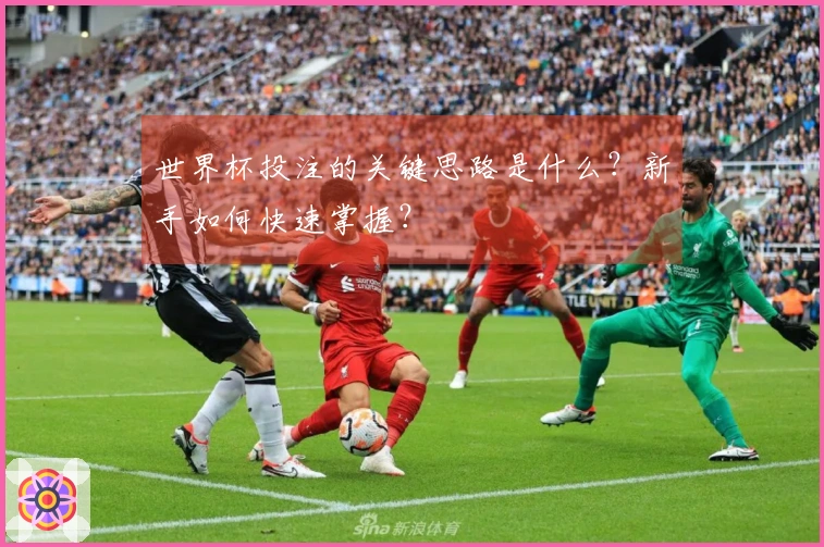 世界杯投注的关键思路是什么？新手如何快速掌握？
